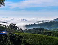 Mysore, Ooty and Coonor 4 Days Sightseeing Tour from Bangalore City