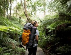Rainforest Experience in Krabi