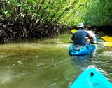 Half Day Kayaking Experience in Borthor from Krabi