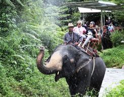 Elephant Camp, Bamboo Rafting and Lisu Hill Tribe Market Experience