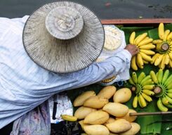 Amphawa Floating Market and Maeklong Railway Market Tour