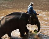 Kanchanaburi 2 Days and 1 Night Historic and Jungle Experience