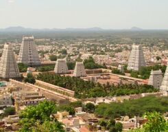 Thiruvannamalai Sightseeing Day Tour from Chennai City