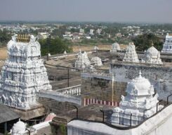 Sri Kalahasti Sightseeing Day Tour from Chennai City