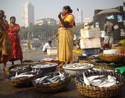 Mumbai at Dawn Private Guided Tour