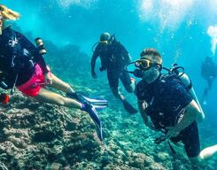 Scuba Diving In Goa