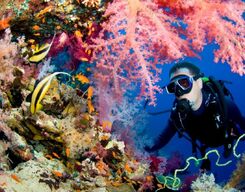 Scuba Diving With Water Sports in Goa
