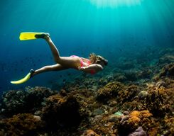 Grande Island Tour Goa