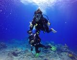 Scuba Diving at Vasco da Gama