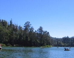Ooty and Coonoor 4 Days Trip from Bangalore
