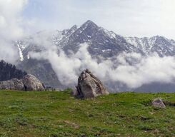 Dharamshala and Mcleodganj 3 Day Tour from Amritsar