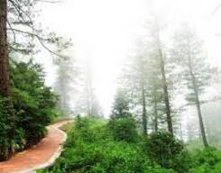 Daringbadi Package Tour from Berhampur