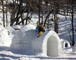 Hampta and Chandrakhani Winter Trek with Igloo Stay