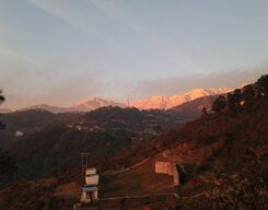 Mcleodganj New Year Camping Experience