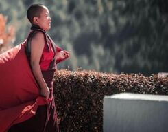 Leh Ladakh Tour Package for 4 Nights and 5 Days