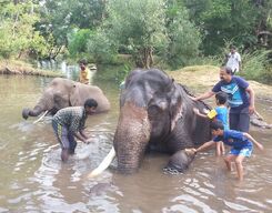 Coorg Sightseeing Private Day Tour