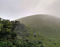 Kopatty Coorg | Dubare Elephant Camp | Water Activities