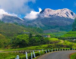 Munnar 2-Day Sightseeing Tour from Kochi – Unforgettable Hill Escape