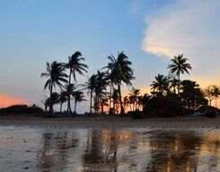 Mandarmani & Tajpur Sightseeing Day Tour from The City of Kolkata