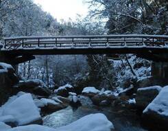 Dodital Trek