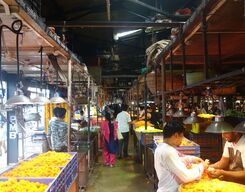 Mumbai Guided Sightseeing Tour by Public Transport