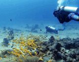 Scuba Diving Experience in Neil Island (Try Dive)