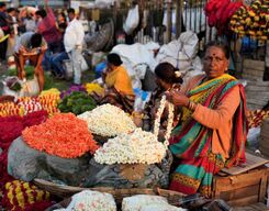 Heritage Walk of Bangalore with Breakfast