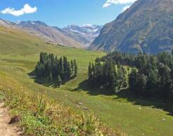 Buran Ghati - Barua Pass Trek