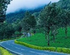 Coorg Sightseeing Day Tour from Bangalore