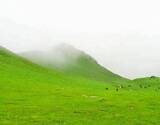 Dayara and Gidara Bugyal Trek