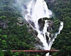 Dudhsagar Waterfall and Spice Plantation Tour from Goa