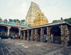 One-Day Srisailam Tour Package from Hyderabad
