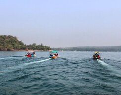 Goa Dolphin Watching Tour