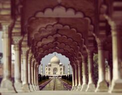 Taj Mahal, Agra Fort, Baby Taj Day Trip by Car from Jaipur