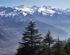 Lamadugh Day Trek from Manali