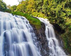 Nilgiri Hills 3 Day Tour from Bangalore City