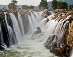 Hogenakkal Falls, B.R. Hills, MM Hills - 2 Day Tour from Bangalore City