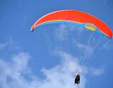 Paragliding in Shimla