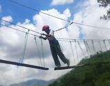 Tree Top Adventure in Shimla