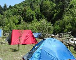 Team Outing at Tirthan Valley