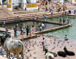Pushkar City Sightseeing Guided Day Tour from Jaipur