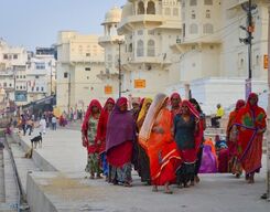 Pushkar Sightseeing Guided Tour from Bikaner to Jaipur One Way Drop