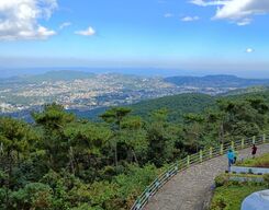 Shillong Nature Trails (3 Hours Guided Trekking Experience)