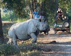 Kaziranga National Park Guided Full Day Sightseeing Private Tour from Guwahati