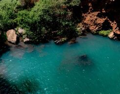 Ngare Ndare Forest Day Trip from Nanyuki