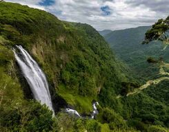 Aberdare National Park Day Trip from Nanyuki