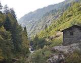 Kheerganga & Tosh Trek with Kasol Camping