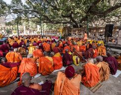 Buddhist Dharma Tour: 4 Days Exploring Key Sacred Sites from Bodhgaya