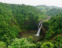 Jawhar Western Ghats Day Tour from Mumbai