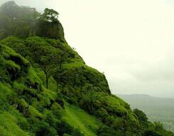 Karnala Bird Sanctuary Panvel Day Tour From The City of Mumbai